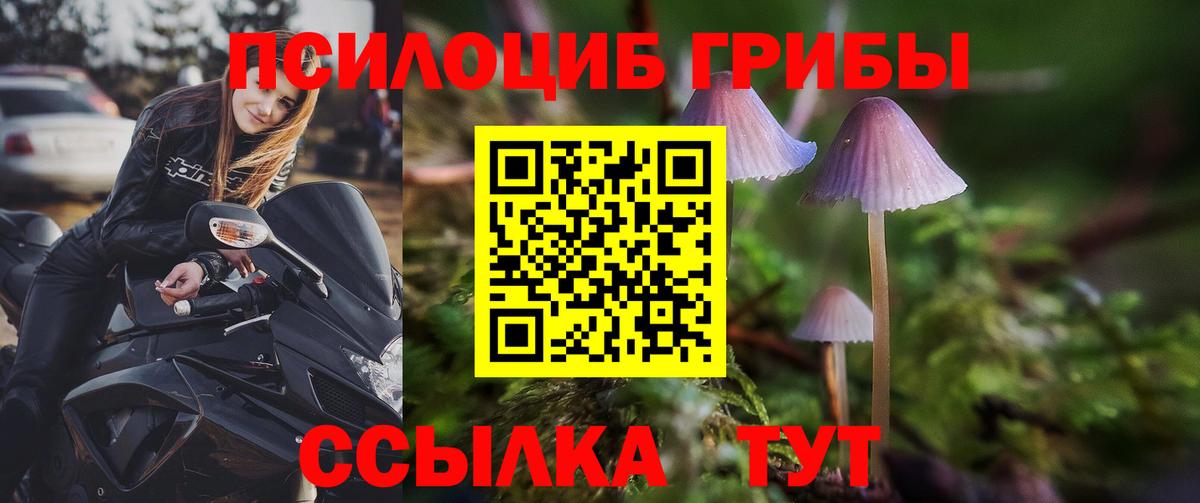 где купить наркоту  Вход с VPN  Обнинск  Галлюциногенные грибы мухоморы 