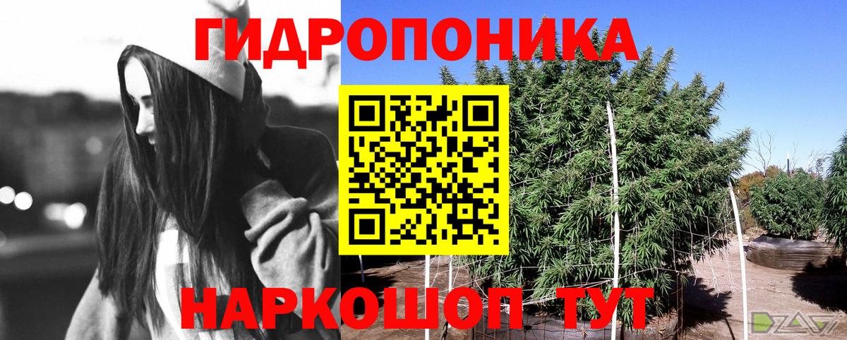 Бошки марихуана семена Обнинск